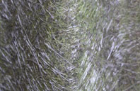 Treligga fibreglass roof work